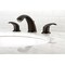 Kingston Brass KB965LL Widespread Bathroom Faucet, Oil Rubbed Bronze KB965LL - alternate 2